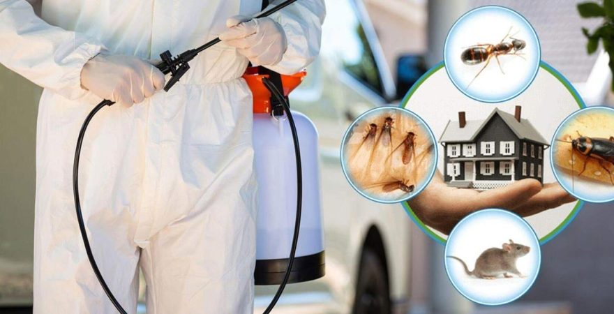 Gültepe Böcek İlaçlama