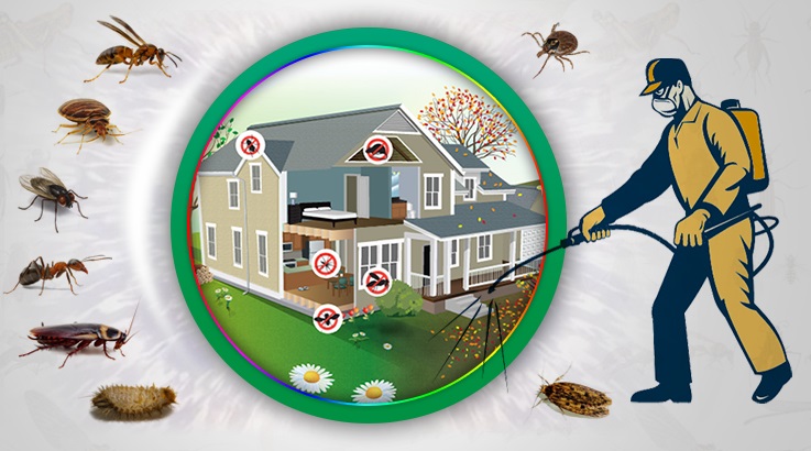 Gültepe Böcek İlaçlama