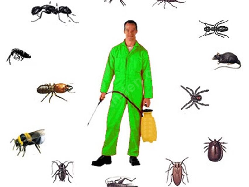 Gültepe Böcek İlaçlama